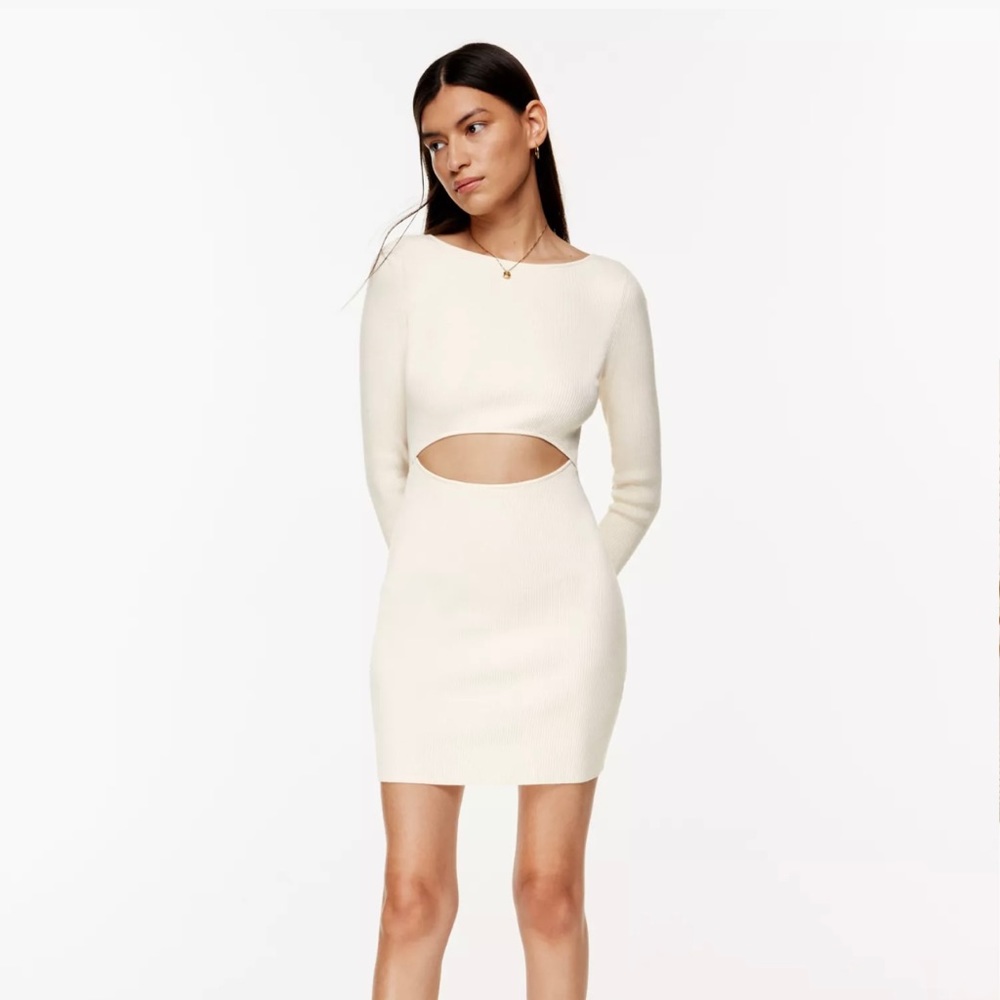 Aritzia long sleeve cut out knit dress